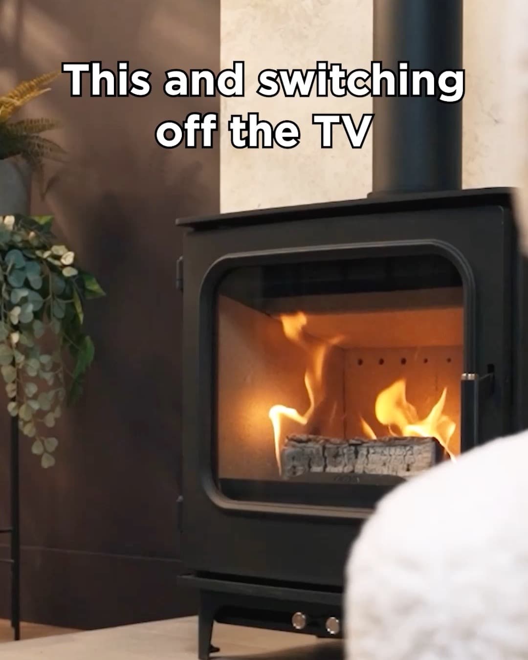 Onyx Olympus Woodburning Stoves